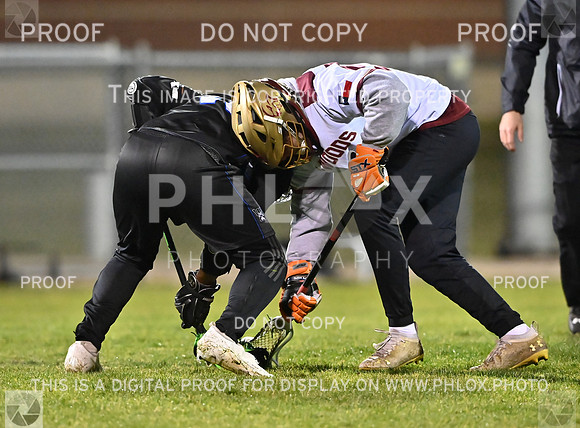 DLS_5745