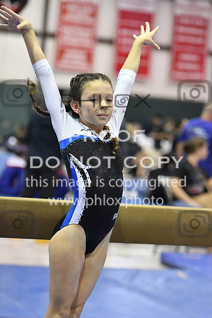 D85_3167