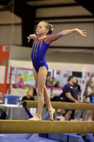 Woodlands Gymnastics Academy