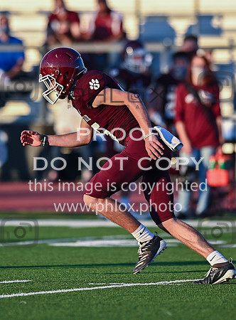 DLS_3557