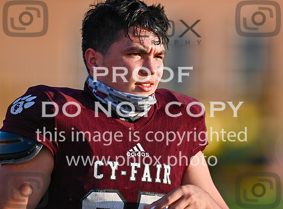 DLS_3231