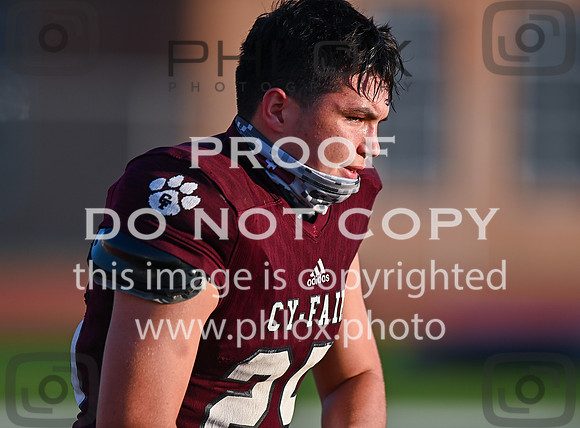 DLS_3228