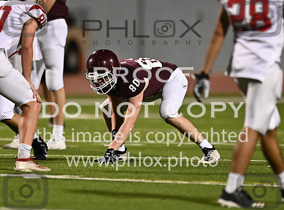 DLS_7196