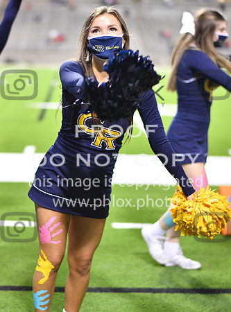 ND5_2385