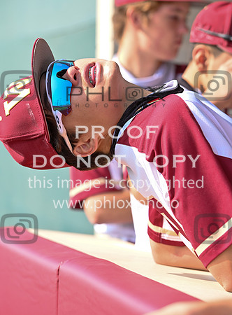 JO6_3058