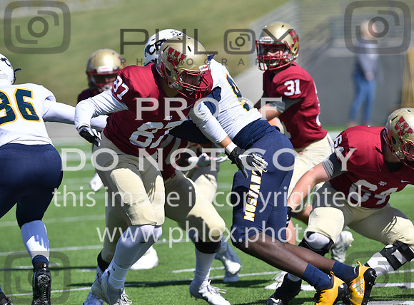 TOM_0786
