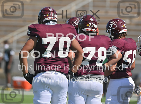 DLS_9983