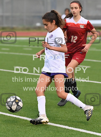 CAR_6919