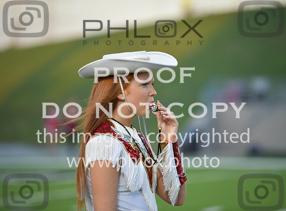 D85_7023