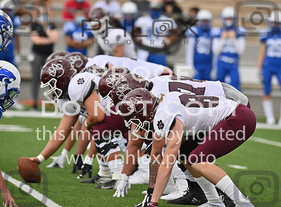 DLS_4700