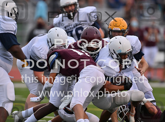 DLS_1584