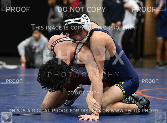 DLS_8957