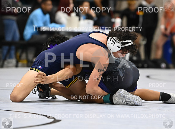 DLS_9406
