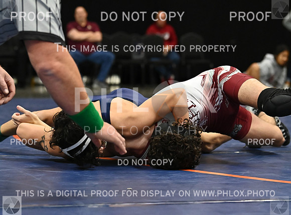 DLS_8971