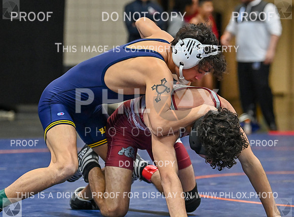 DLS_8953
