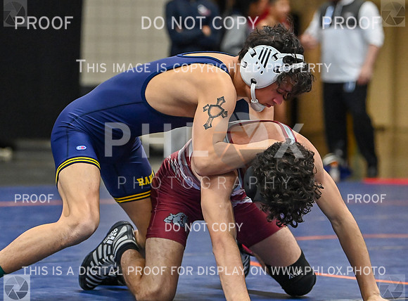DLS_8954