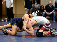 DLS_8948