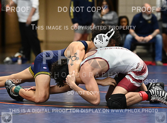 DLS_8948