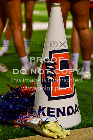 D5D_4193