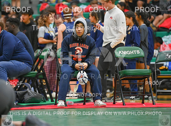 DLS_2516