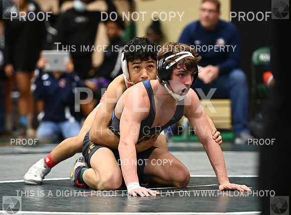 DLS_3398