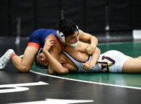 DLS_2625