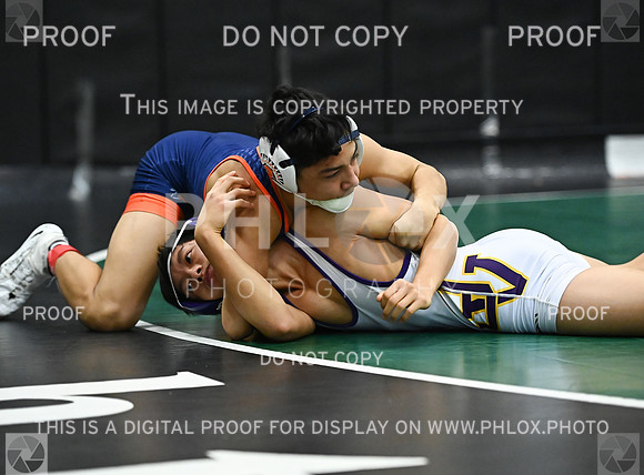 DLS_2625