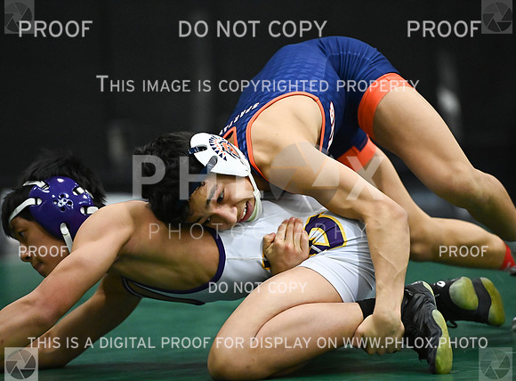 DLS_2610