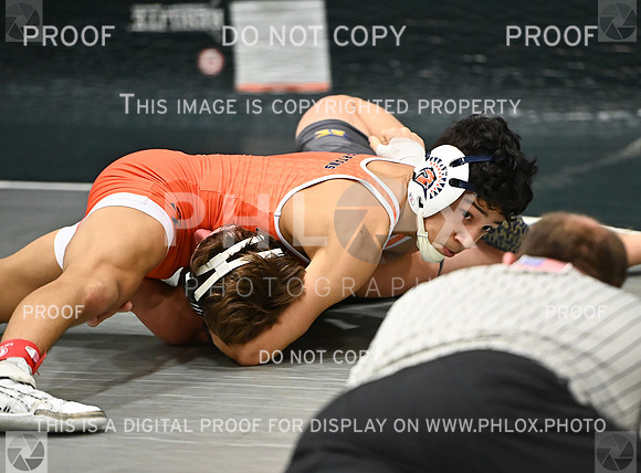 DLS_3419