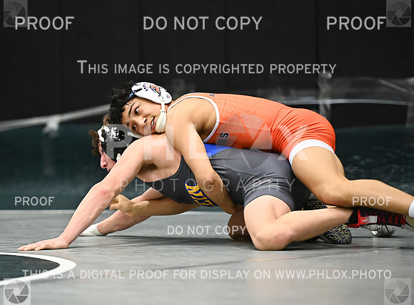 DLS_3402