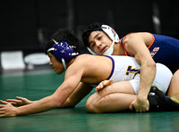 DLS_2605