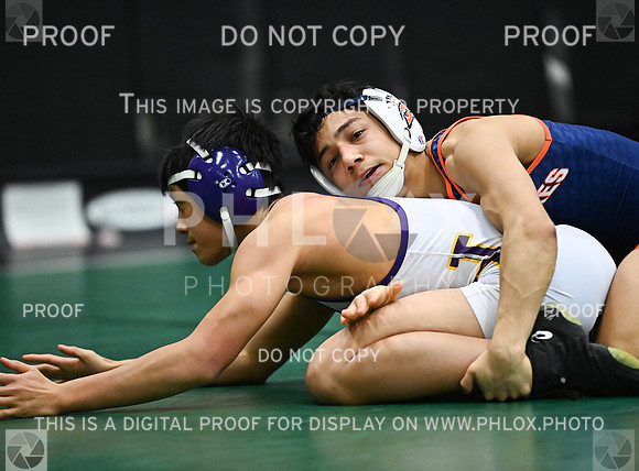 DLS_2605