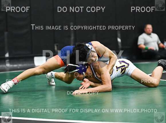DLS_2604
