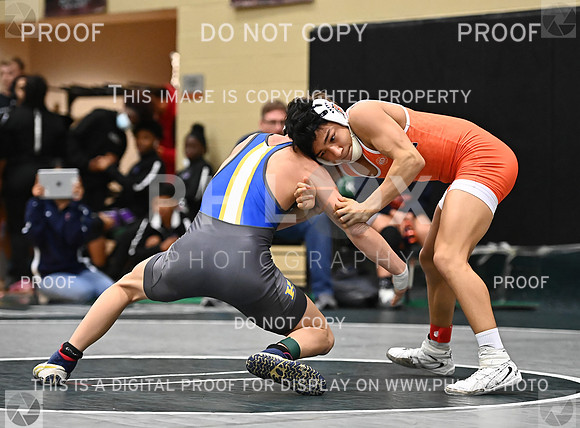DLS_3342