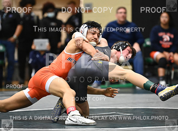 DLS_3364