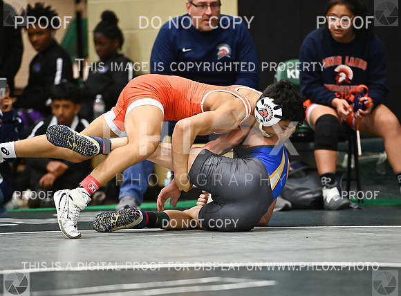DLS_3390