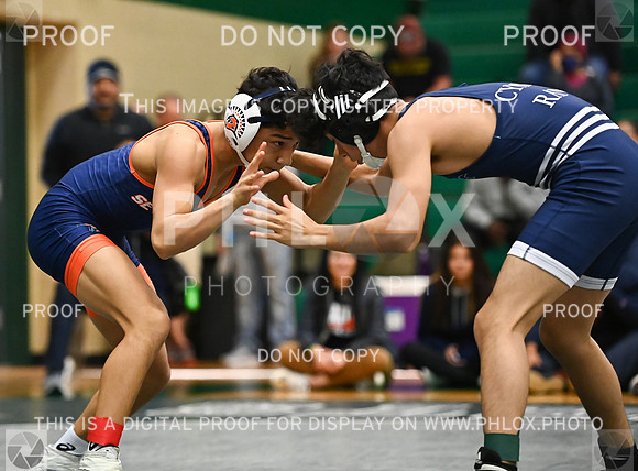 DLS_2978