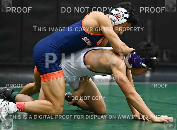 DLS_2599