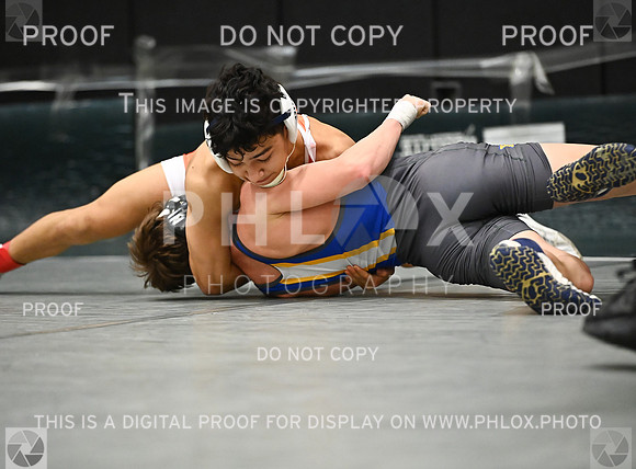 DLS_3411