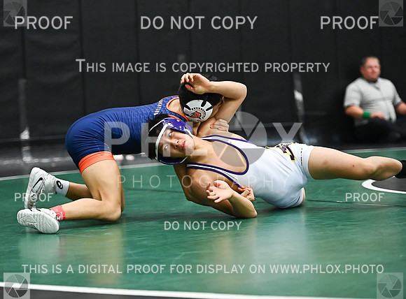 DLS_2601