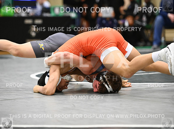 DLS_3351