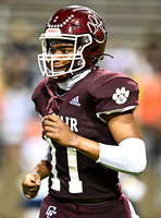 DLS_9046