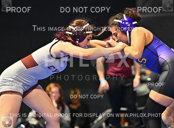DLS_4876