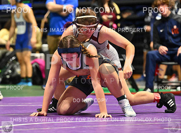 DLS_4596