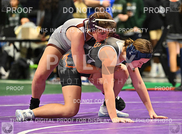 DLS_4592