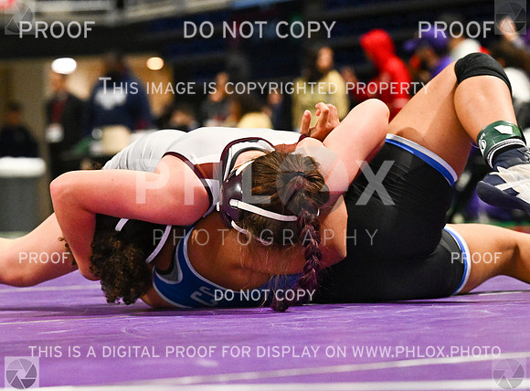 DLS_3073