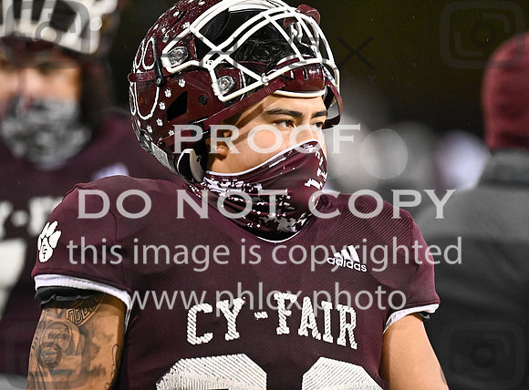 DLS_8901
