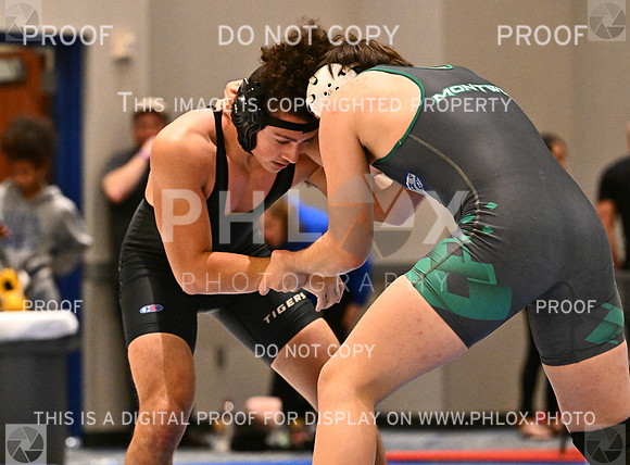 DLS_6419