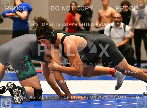 DLS_6422