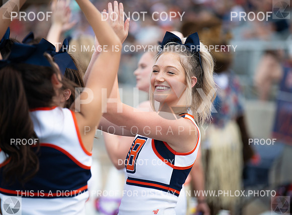 TOM_5604